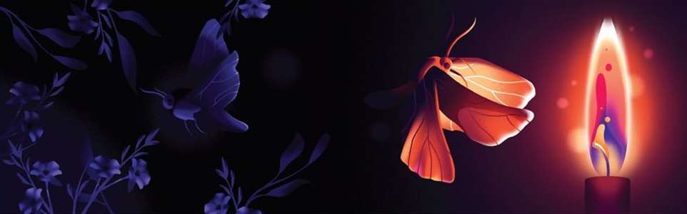 Illustration of a moth in flight alongside a candle flame, set against a dark background with floral accents; creating a sense of warmth and mystery.
