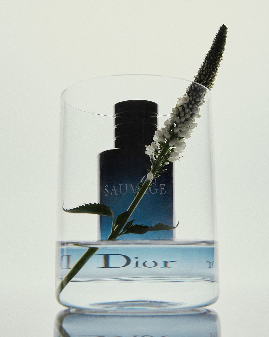 Fragrance bottle in a clear glass with a flower, showcasing the Dior Sauvage men's cologne against a bright, neutral background.
