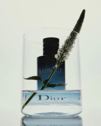 A dark perfume bottle behind a tall glass of water containing a long white flowering stem photographed by Oscar Calleja.