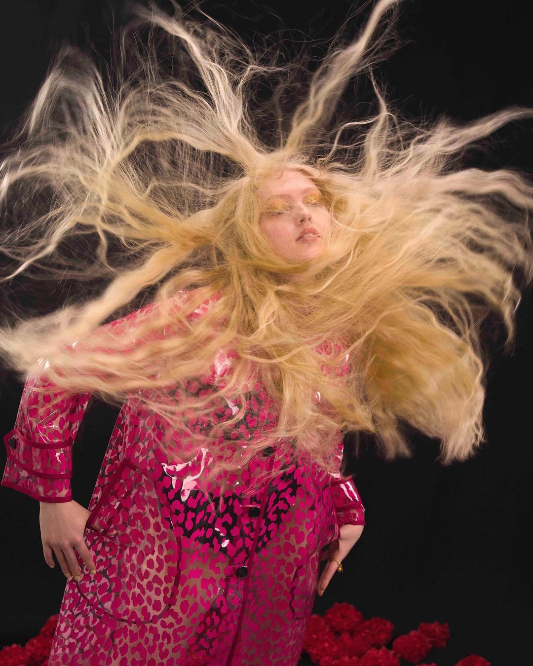 Woman with long blonde hair in motion wearing pink animal print coat in front of a black background with red flowers on the ground.