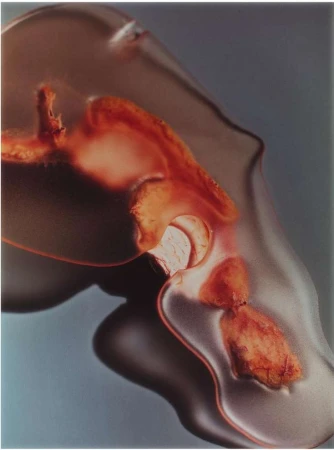 Translucent human head sculpture with internal details, showcasing a mix of abstract forms and internal organ-like structures in amber hues.