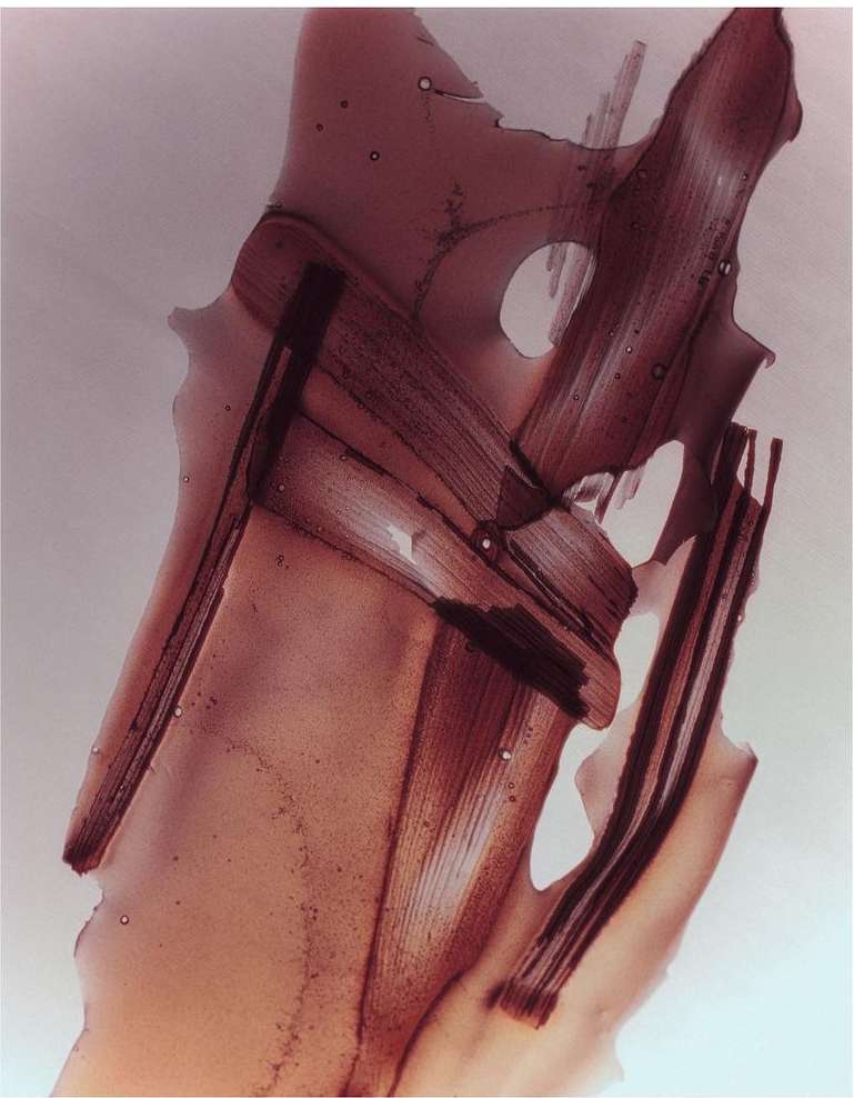 Abstract photograph featuring brown organic shapes and dark brown lines against a light background, showcasing a visually striking composition.