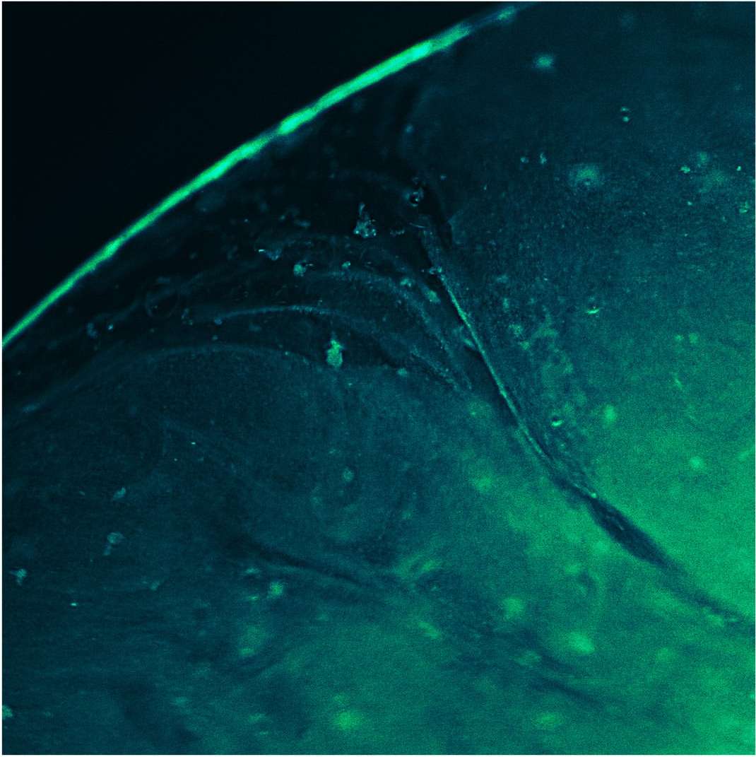 Abstract close-up of a textured surface with swirls and details in shades of blue and green, illuminated with a soft, diffused light.