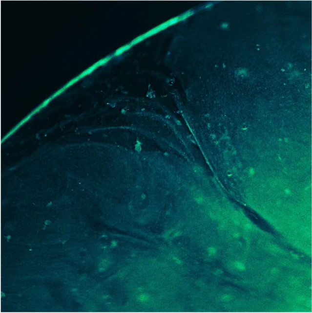 Abstract close-up of a textured surface with swirls and details in shades of blue and green, illuminated with a soft, diffused light.