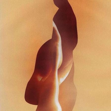 Abstract warm-toned vertical photographic composition featuring organic forms and soft gradients.