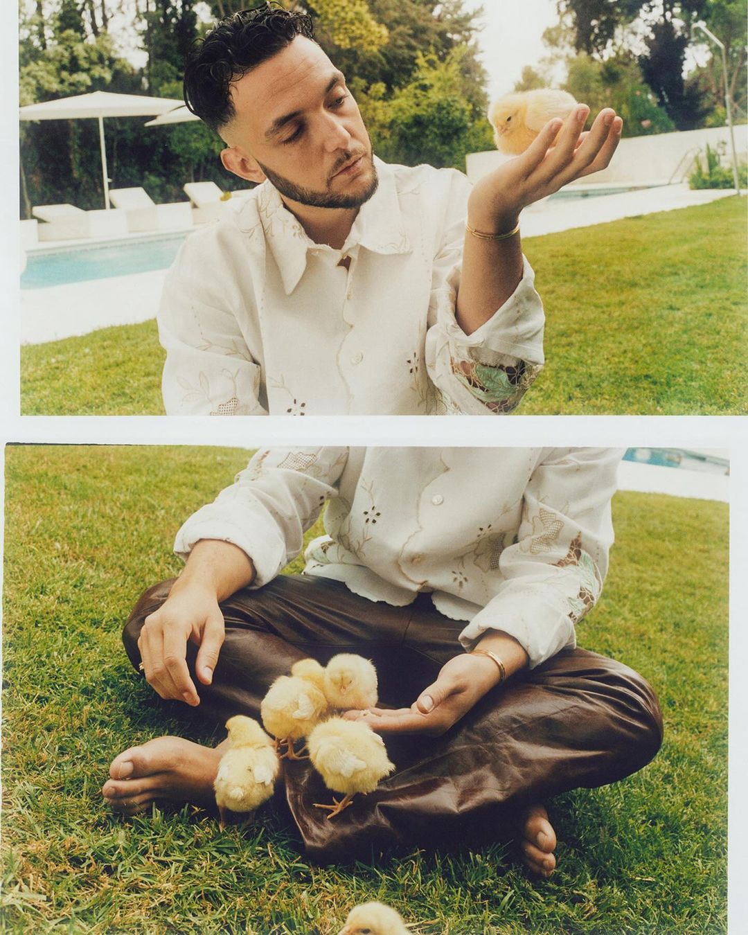 Eye-level shot of a man seated outdoors, interacting with small yellow chicks. One chick sits on his open palm in the sunny scene.