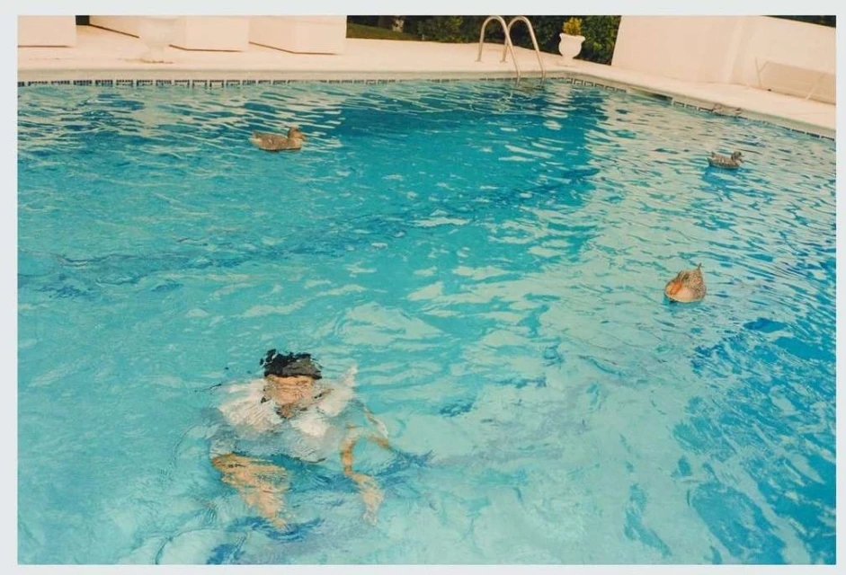 Person swims in turquoise pool with ducks, surrounded by white tiling and lush greenery in the background, capturing a tranquil scene.