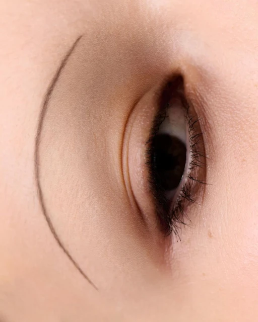 Close-up of a woman's eye with visible eyelashes, eyelids, brown irises, and a curved line above the eye on pale skin.