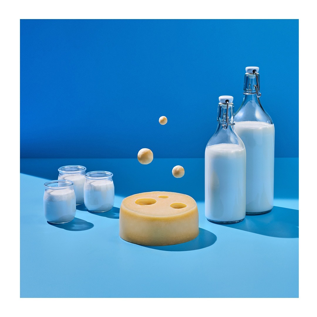 Still life of cheese wheel, milk bottles, yogurt jars, and spherical objects against a blue backdrop. Dairy products on blue.