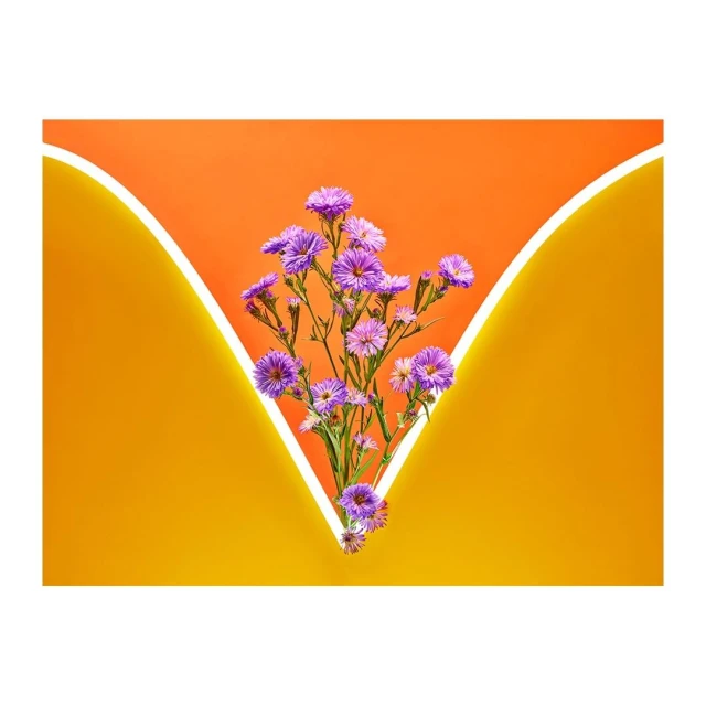 Floral still life featuring a vibrant bouquet of purple flowers, offset by an orange backdrop with a sleek, inverted-V neon light.