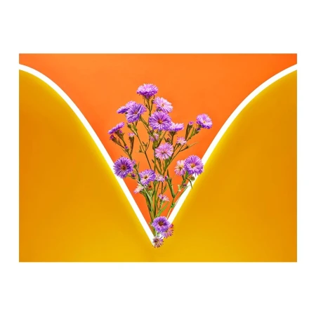 Floral still life featuring a vibrant bouquet of purple flowers, offset by an orange backdrop with a sleek, inverted-V neon light.