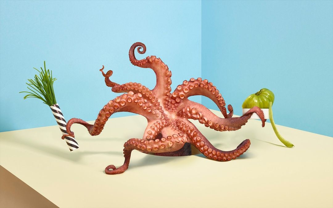 Stylized studio shot of an octopus surrounded by green chives in a striped vase, and a green tomato, against a blue backdrop.