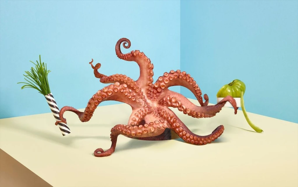 Stylized studio shot of an octopus surrounded by green chives in a striped vase, and a green tomato, against a blue backdrop.