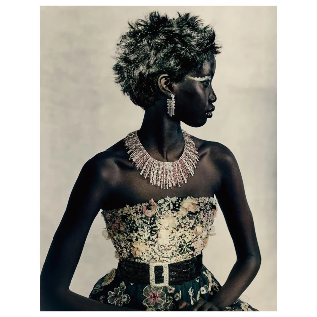 Striking studio portrait of an African woman with a short grey hairstyle, wearing a floral dress and necklace, gazing to the side.
