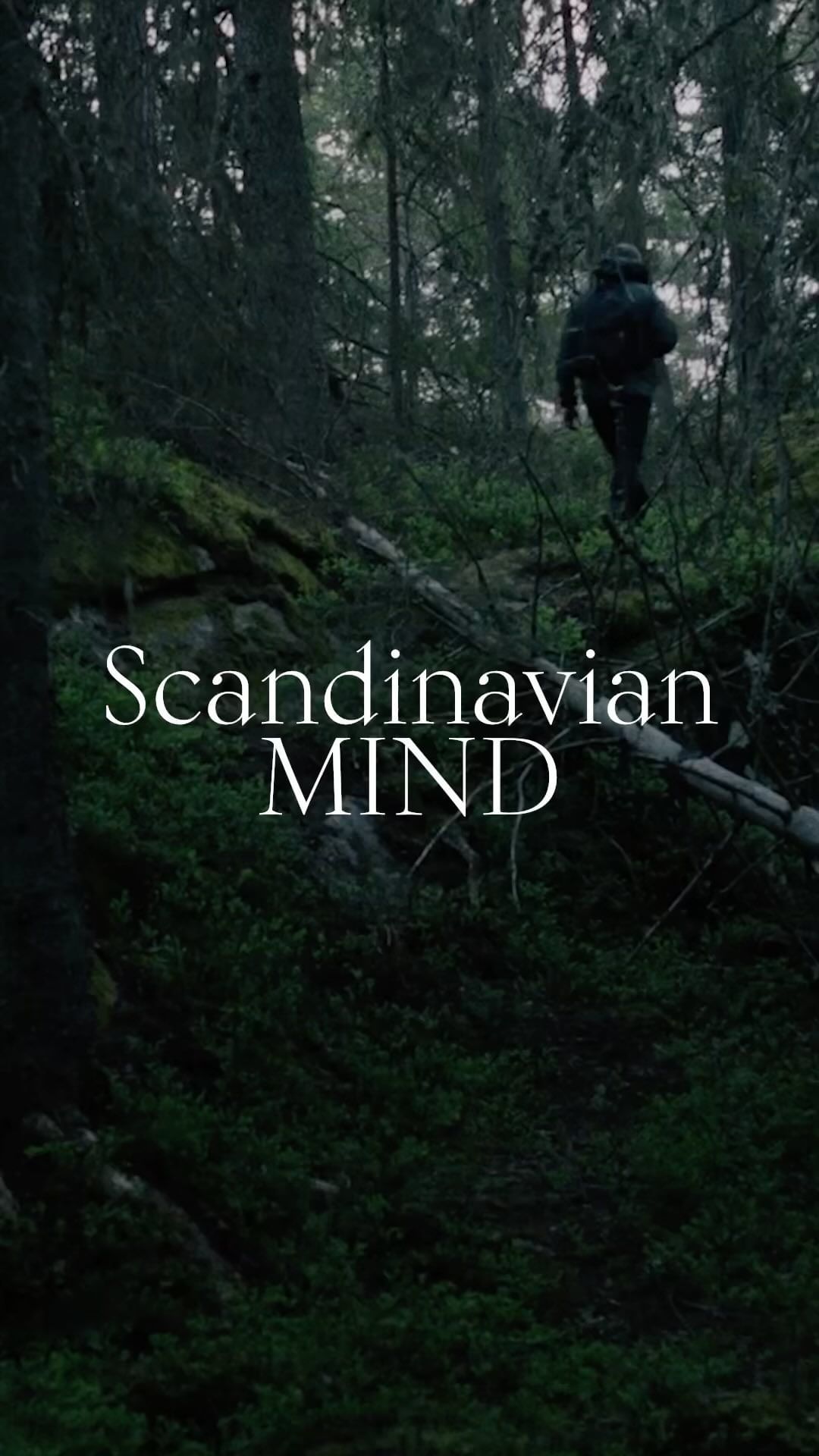 Backpacker walking through a dark, moody forest. Trees surround the trail, and the foreground is filled with greenery and moss.