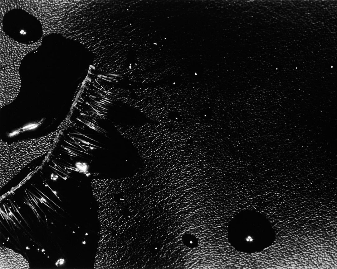 Abstract dark photograph featuring a surface with shiny black liquid and a broken object with fibrous strands, creating a textured, moody scene.