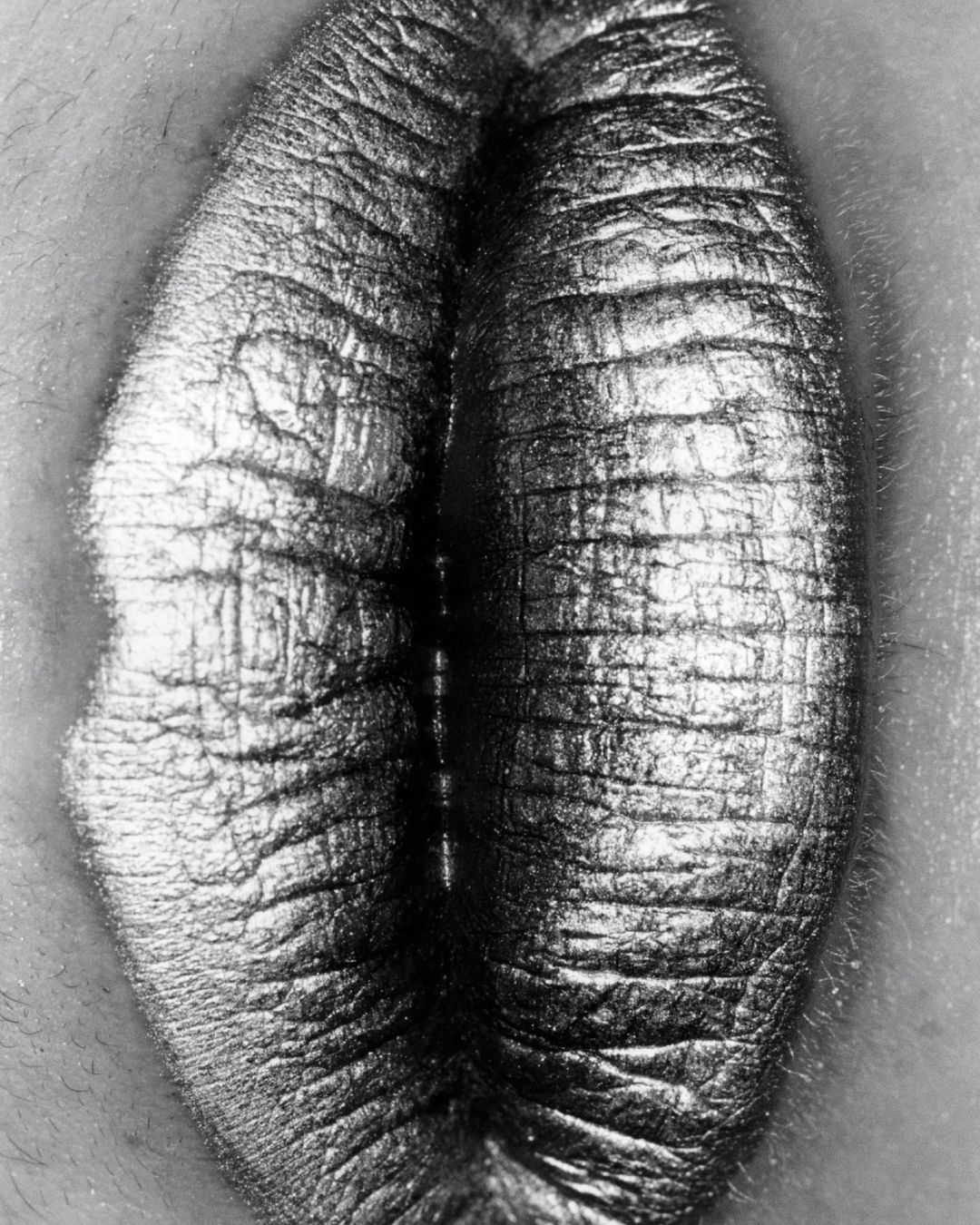 Close-up shot of a textured, symmetrical surface, resembling skin or a biological form, rendered in black and white with high detail.