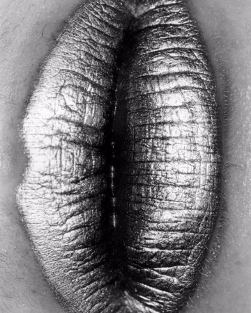 Close-up shot of a textured, symmetrical surface, resembling skin or a biological form, rendered in black and white with high detail.