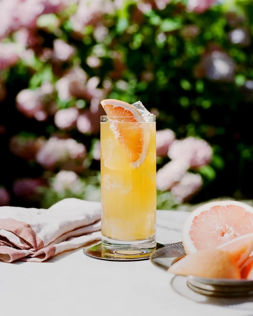 Refreshing grapefruit cocktail with ice cubes, served in a tall glass with a slice of grapefruit, set outdoors with a leafy background.