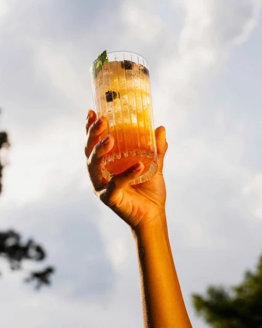 Adult arm raises a glass of a golden liquid cocktail with blueberries and mint against a sky with light clouds in an outdoor environment.
