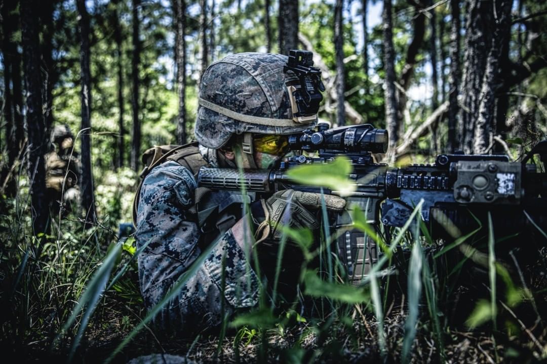 Camouflaged soldier in military gear kneels in a forest setting holding an assault rifle with optical sight, surrounded by green foliage.