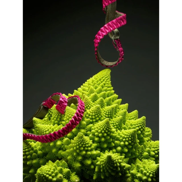 Close-up of a romanesco broccoli head with pink ribbon, showcasing its fractal patterns and bright colors against a dark background.