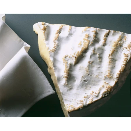 Close-up of a wedge of white mold cheese next to a white folded cloth, set against a dark green background, indoor studio food photography.