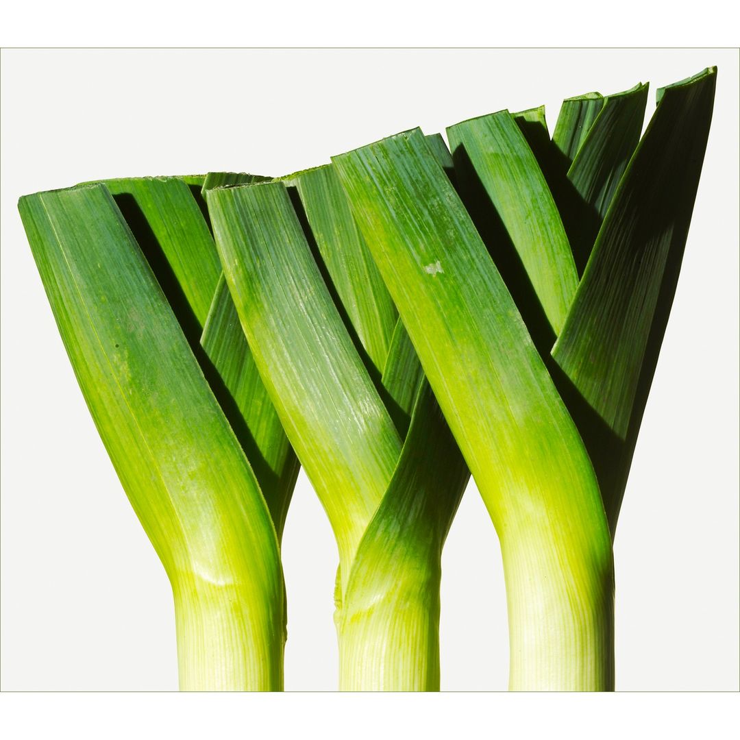 Close-up of fresh leeks, showcasing their green leaves and white stems against a white background, perfect for culinary-themed visuals.