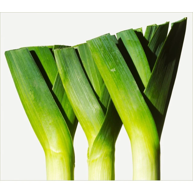Close-up of fresh leeks, showcasing their green leaves and white stems against a white background, perfect for culinary-themed visuals.