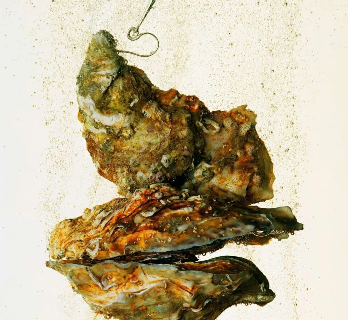 Three oysters stacked on top of each other with an oyster fork in an off-white background with fine particulate and bubbles.