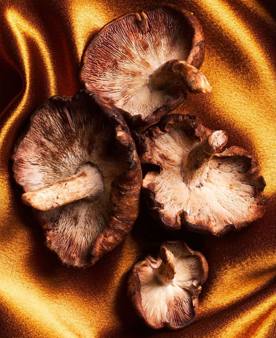 Close-up still life of four shiitake mushrooms with visible gills on a golden-brown satin textile background, shot with studio lighting.