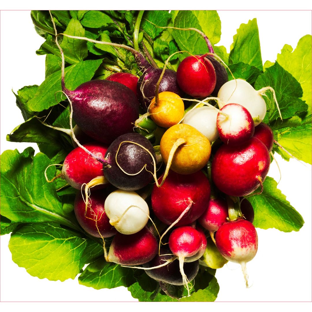 Fresh radishes with green leaves in an overhead shot against white backdrop. Variety of colors and shapes of radishes are displayed.