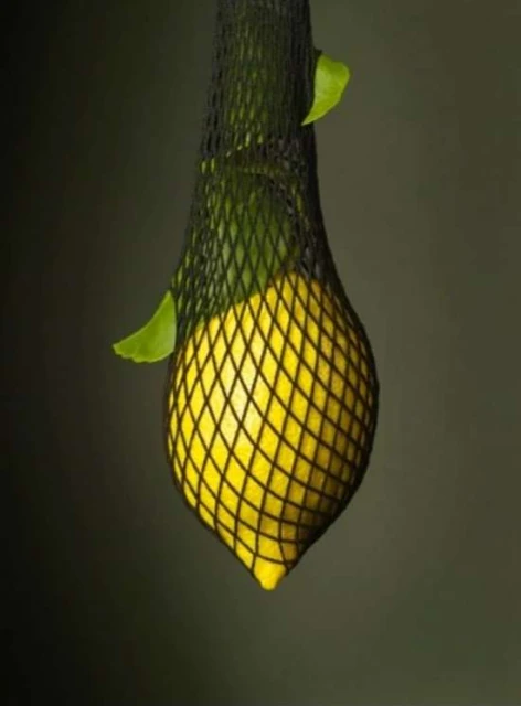 A yellow lemon hangs in a black mesh bag with green leaves against a blurred, dark background.
