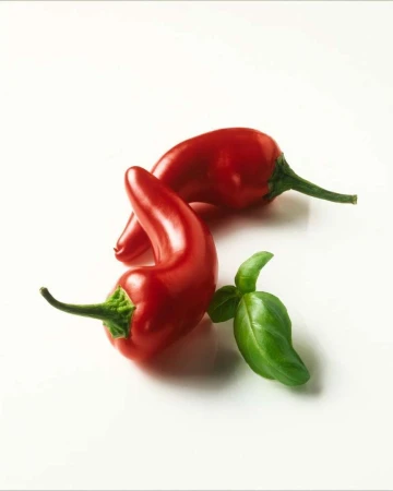 Two red chili peppers and a small green basil sprig are displayed against a white backdrop, suitable for culinary or food-related themes.