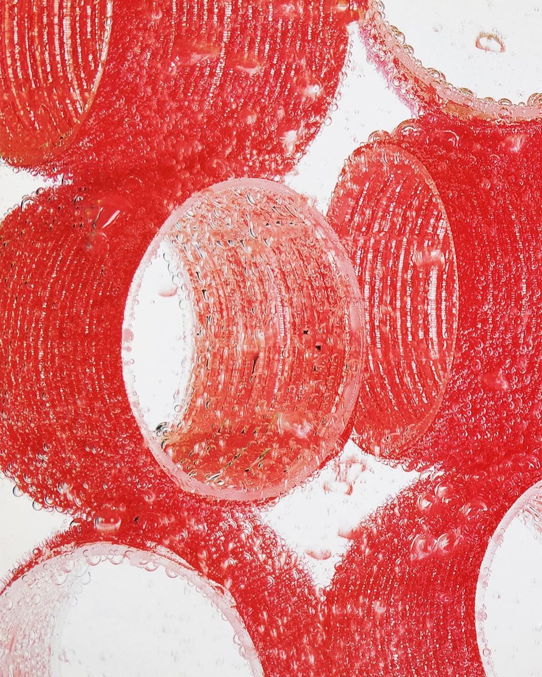 Abstract close-up of multiple translucent red orbs with textured surfaces, surrounded by tiny bubbles on a clean white background.
