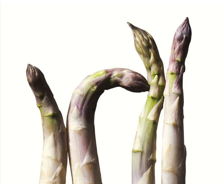 Close-up studio shot of fresh green and white asparagus spears against a clean white background, showcasing the vegetable's textures.