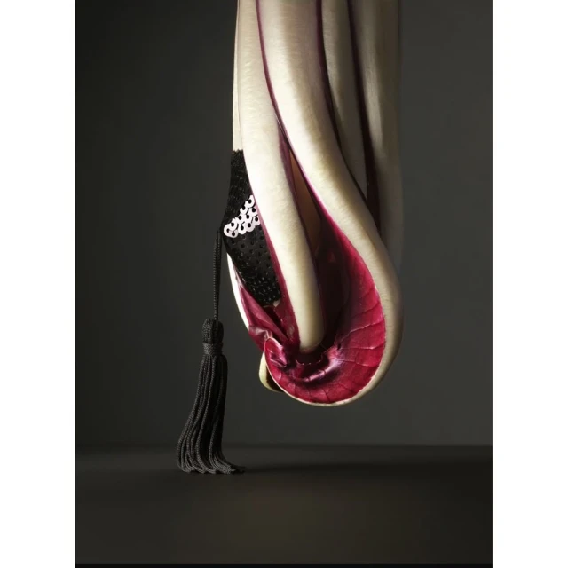 Still life of a radicchio head with a black tasseled bra hanging from its leaves, set against a dark gray backdrop.