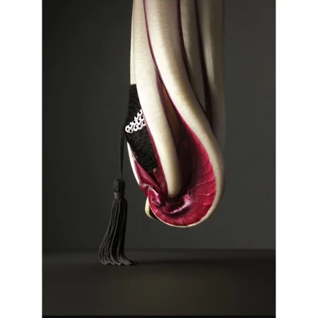 Still life of a radicchio head with a black tasseled bra hanging from its leaves, set against a dark gray backdrop.