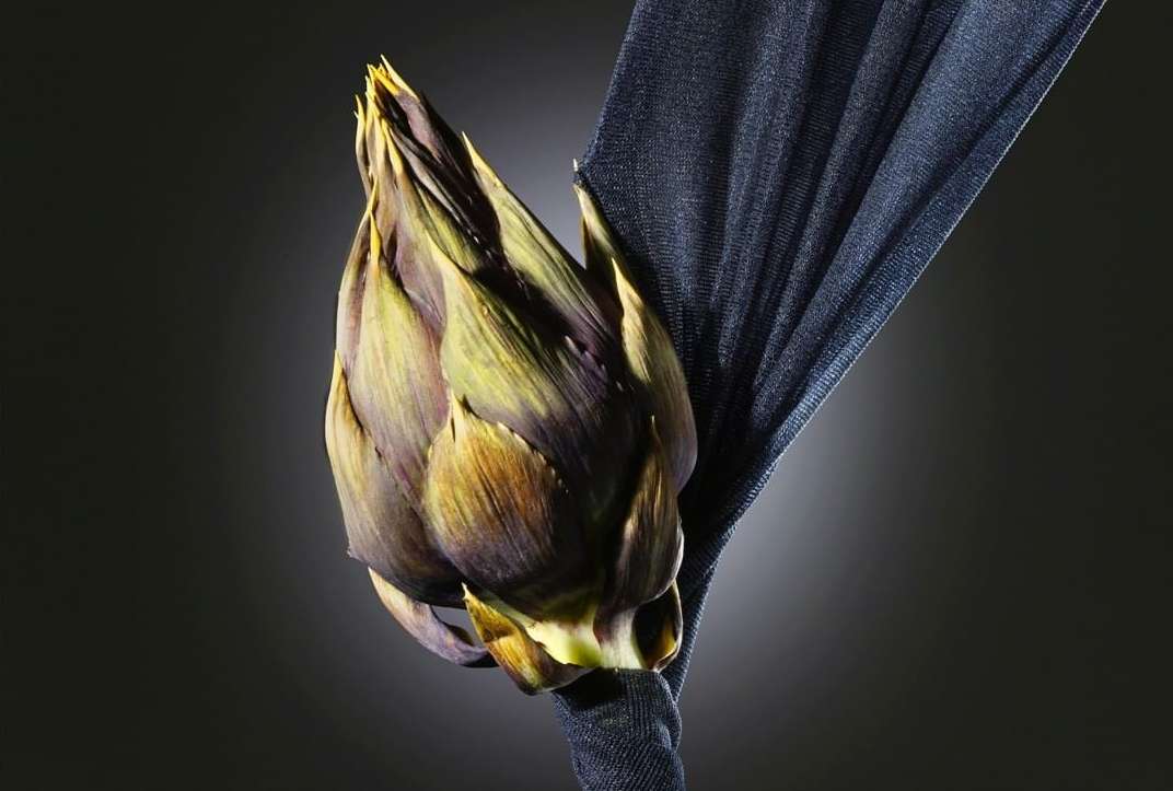 Studio shot of a fresh artichoke wrapped in dark blue fabric, set against a dark gray background. The vegetable is displayed indoors.