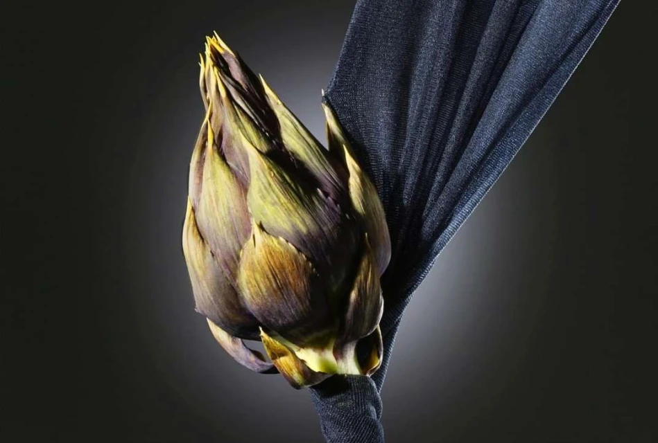 Studio shot of a fresh artichoke wrapped in dark blue fabric, set against a dark gray background. The vegetable is displayed indoors.