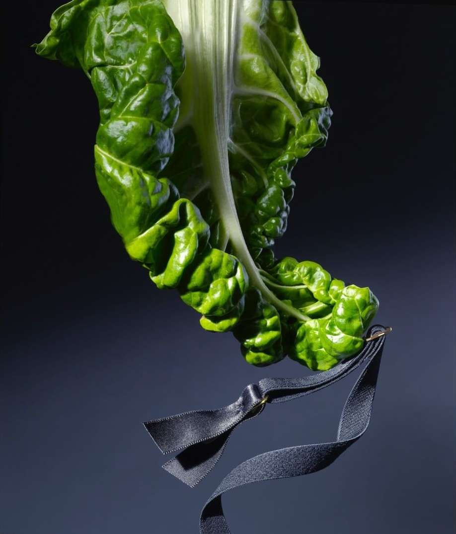Close-up of a vibrant green chard leaf hanging with a dark grey ribbon against a dark grey gradient background.