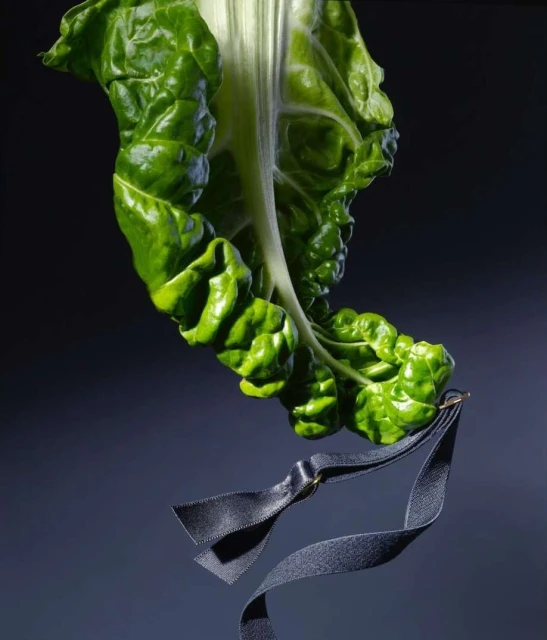 Close-up of a vibrant green chard leaf hanging with a dark grey ribbon against a dark grey gradient background.