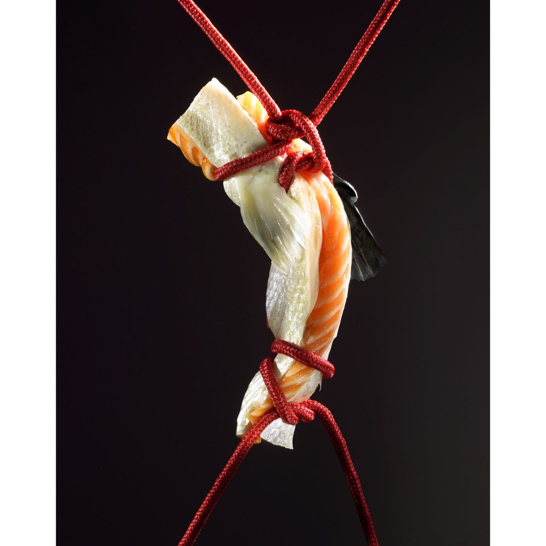 A creative food shot of salmon and white fish wrapped in red decorative ropes against a dark studio background, presented vertically.