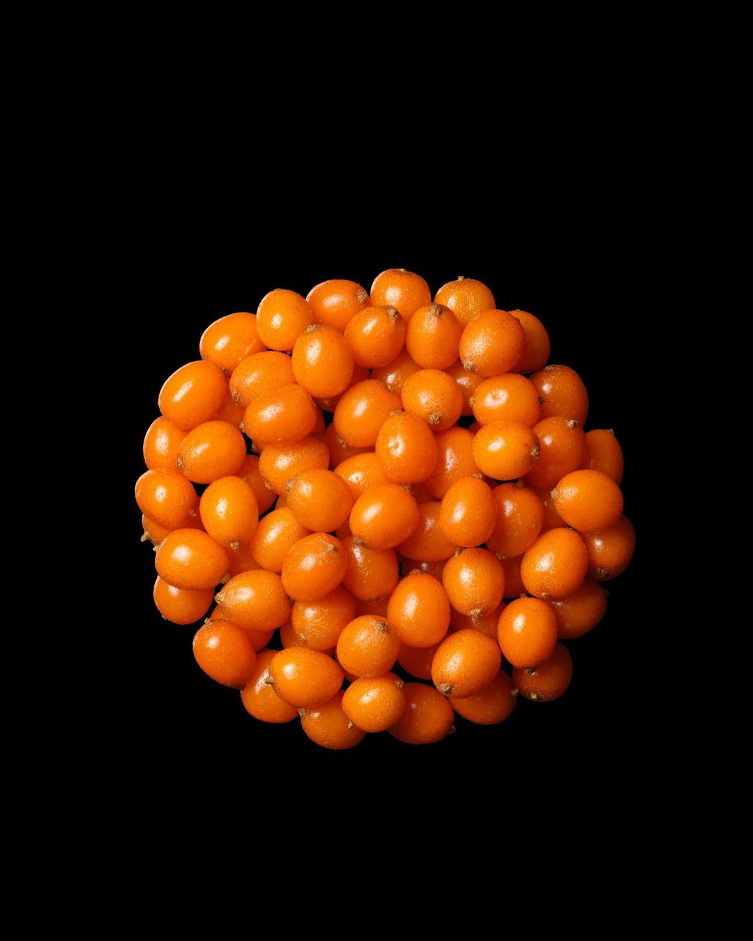 A cluster of vibrant orange sea buckthorn berries is tightly packed against a stark black backdrop, creating a visually striking contrast.