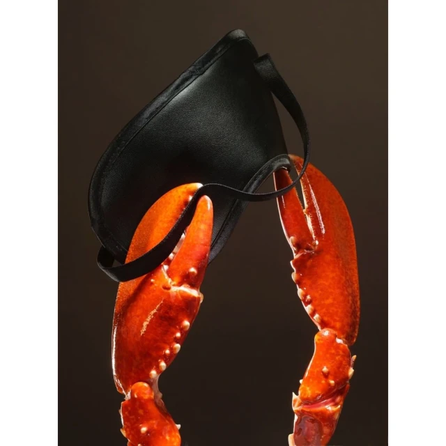 Still life shot of lobster claws holding up a black jockstrap against a dark brown background. The jockstrap is made of smooth material.