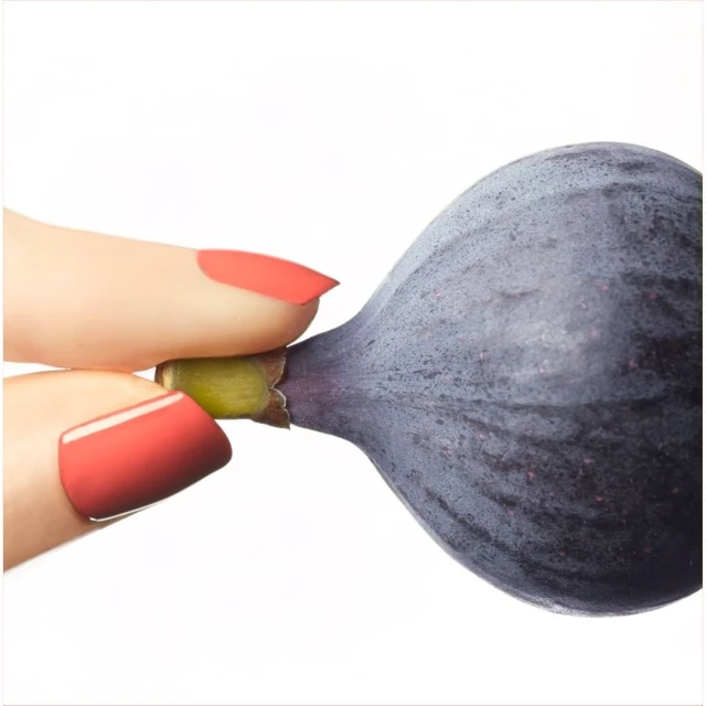 Close-up of a woman's fingers with coral nail polish holding a fresh fig against a stark white background, emphasizing texture and detail.