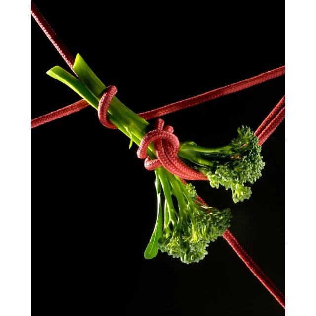 Broccoli florets tied together with red rope against a stark black background in a close-up food still life composition.
