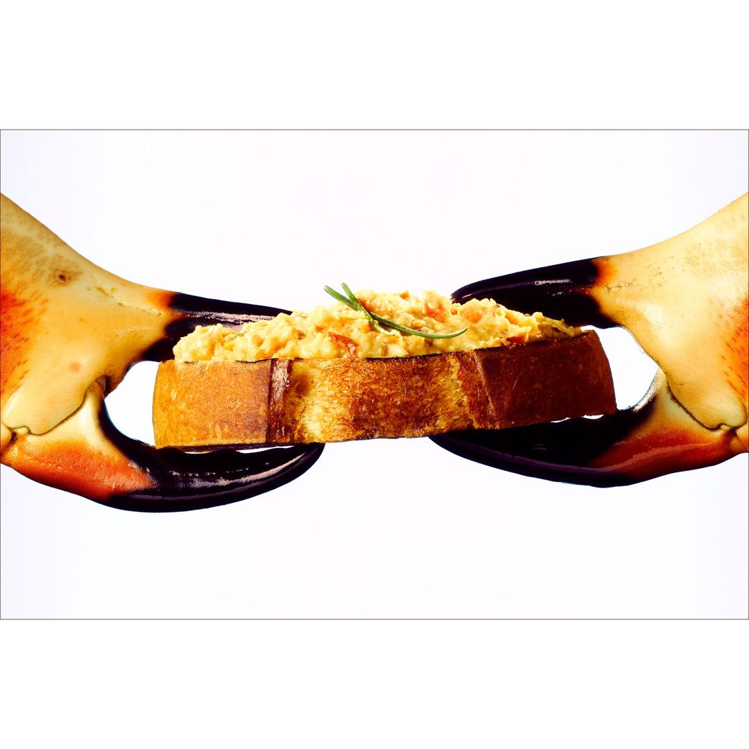 Close-up of crab claws holding a slice of toast topped with crab salad and a sprig of rosemary against a white background.