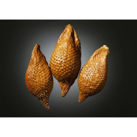 Still life studio shot of three Salak fruits against a gradient dark gray background, showcasing their spiky brown skin.
