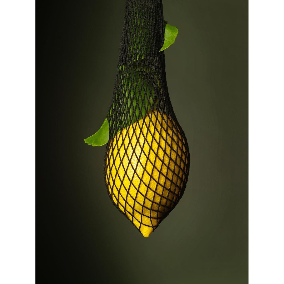 A lemon hangs in a black net, featuring bright yellow fruit with a textured skin and green leaves against a dark olive background.